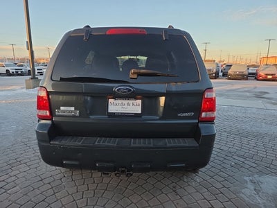 2009 Ford Escape XLT