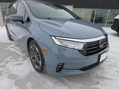 2023 Honda Odyssey Elite