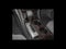 2017 Buick Enclave Premium Group