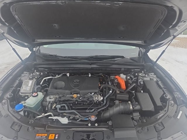 2025 Mazda Mazda CX-50 Hybrid Premium Plus