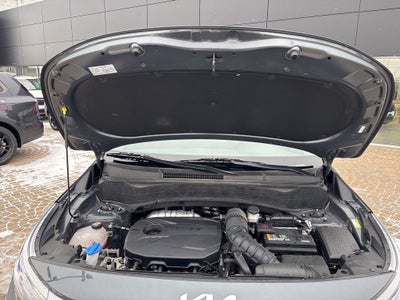 2023 Kia Seltos Nightfall