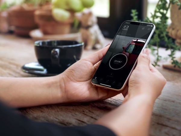 Mazda Of Fargo in Fargo ND