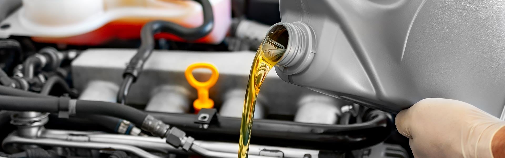 Senior Oil Change Discount